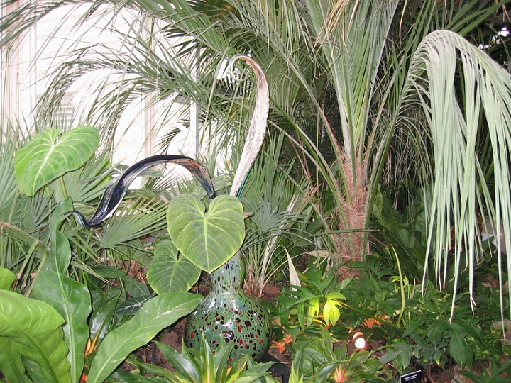 IMG_5665 Dale Chihuly art at Pittsburgh Phipps Conservatory.jpg